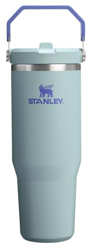 Stanley IceFlow 2.0 Flip Straw Tumbler with Handle 30 oz | Twist On Lid and Flip Up Straw | Leak Resistant Water Bottle | Insulated Stainless Steel | BPA-Free | Exclusive Blue Cactus | Amazon (US)
