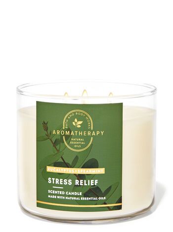 Aromatherapy


Eucalyptus Spearmint


3-Wick Candle | Bath & Body Works
