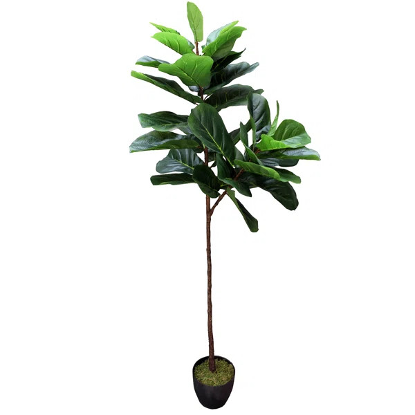 Real Touch Silk Fiddle Leaf Fig Tree in Pot | Wayfair North America