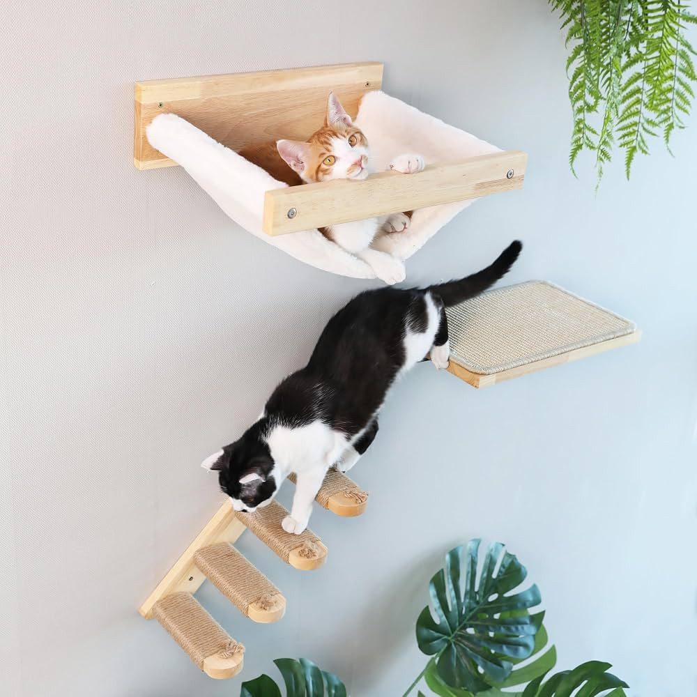 FUKUMARU Cat Wall Furniture, 3 Pack Cats Walls Shelves Set, Solid Rubber Wood Kitten Shelf for Sl... | Amazon (US)