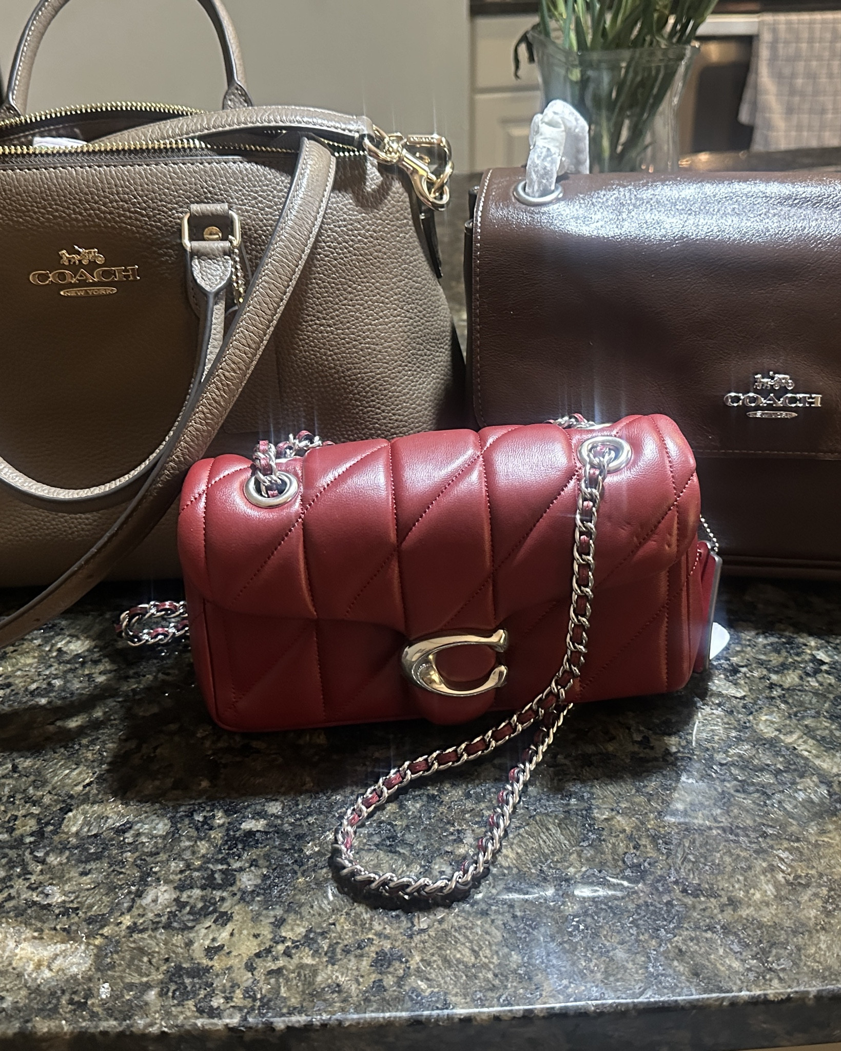 Just a few of my favorite Coach bags
✨Coach Tabby 20 (Red)
✨Coach Georgia Satchel (Tan)
✨Coach Elodie (Brown)



#LTKHoliday #LTKGiftGuide #LTKOver40