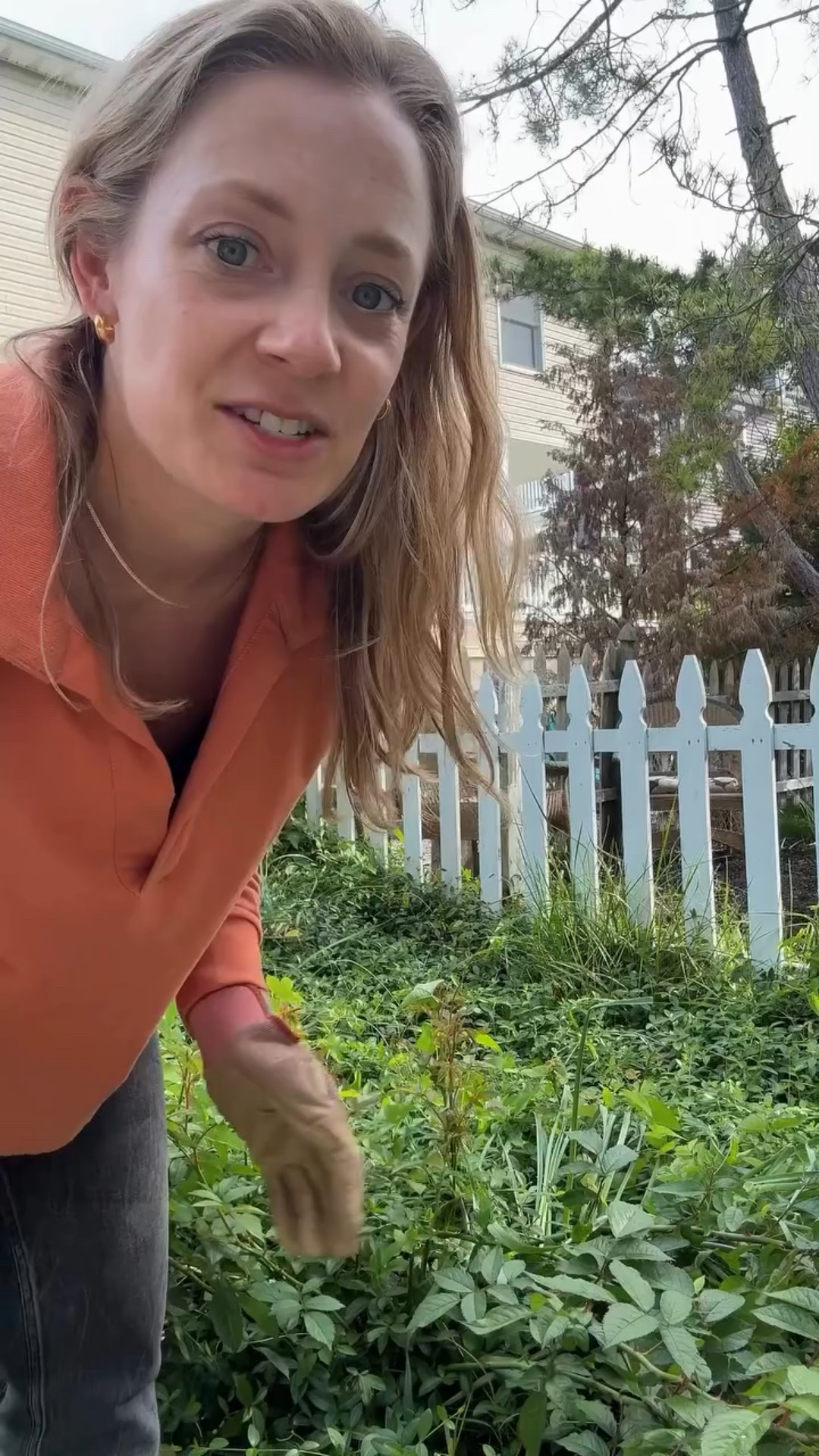 30 extra minutes of naptime means I get to do yard work and I love it too much. 🙃
.
Follow along to see if she survived the trip!
.

#momlife #toddlerlife #marriedwithkids #millennialmom #momlifebelike #toddlermom #funnymoms #contentcreator #lifewithlittles #gardening #rosebush #rosetransplanting #garden #flowergarden #beachlife #beachhousegarden

#LTKHome #LTKSummerEdit