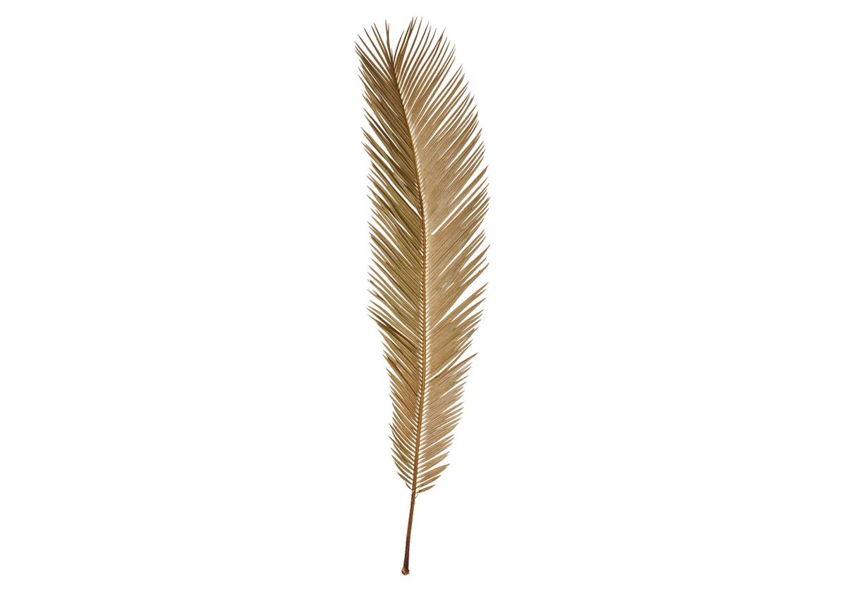 DRIED NATURAL CUT PALM LEAF | Alice Lane Home Collection