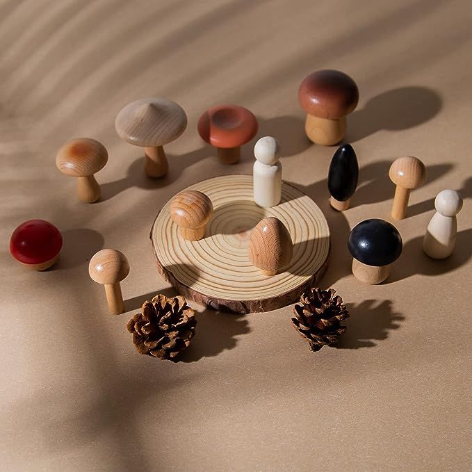 Natural Wooden Mushroom Set - Pack of 11 Mini Mushrooms with 2 Pcs Peg Dolls, 2 Pcs Pinecone and ... | Amazon (US)