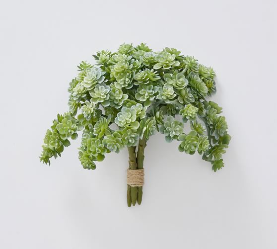 Faux Sedum Succulent Bundle | Pottery Barn (US)