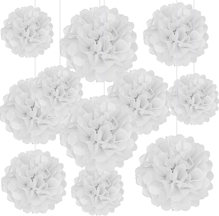 20 PCS White Tissue Paper Pom Poms, Tissue Pom Poms Flowers, Sizes of 6", 10", 12", 14" Hanging P... | Amazon (US)
