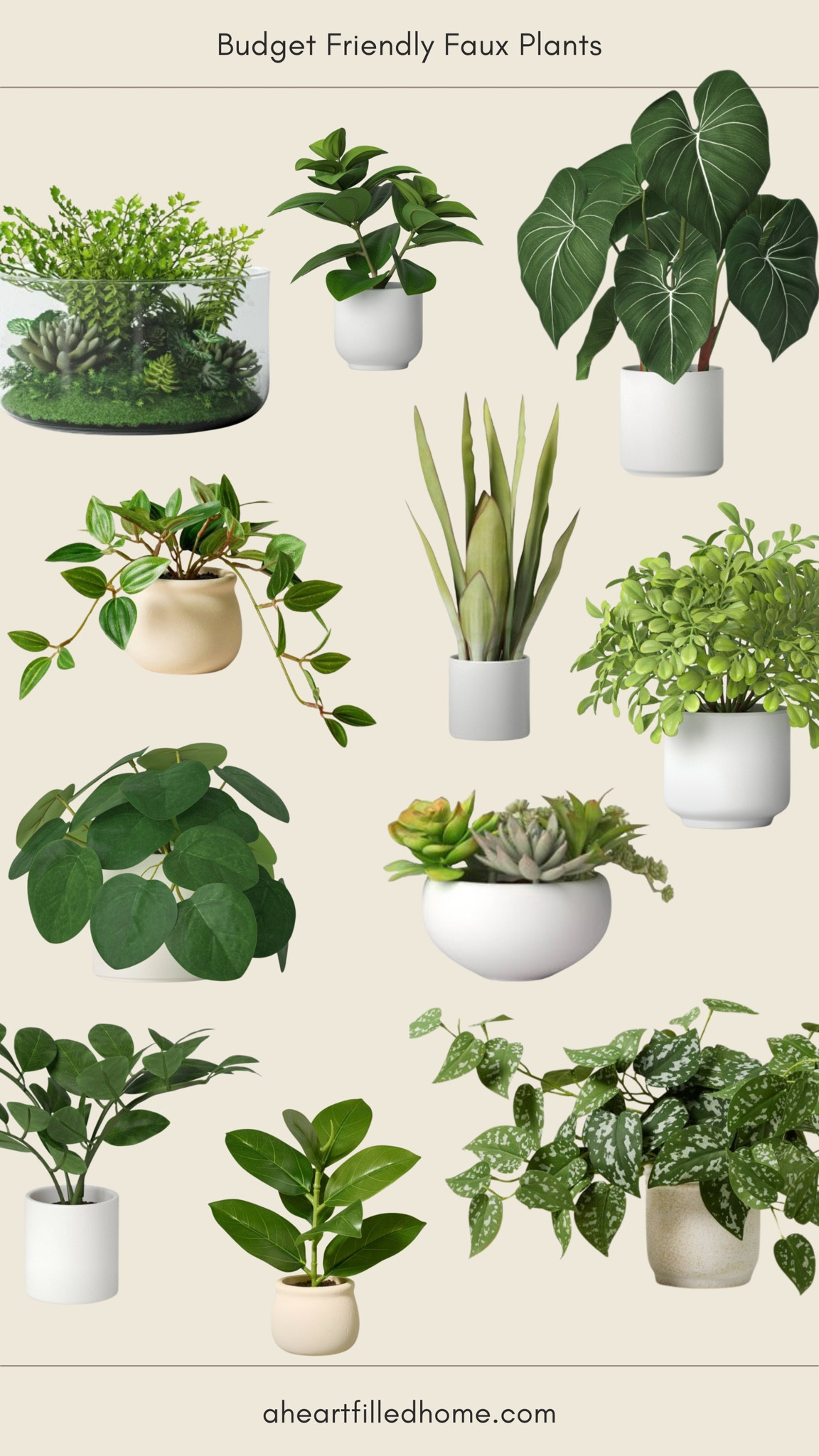 These budget friendly faux plants will add some life to your home! #plants #fauxplants #homedecor 

#LTKSaleAlert #LTKFindsUnder50 #LTKHome
