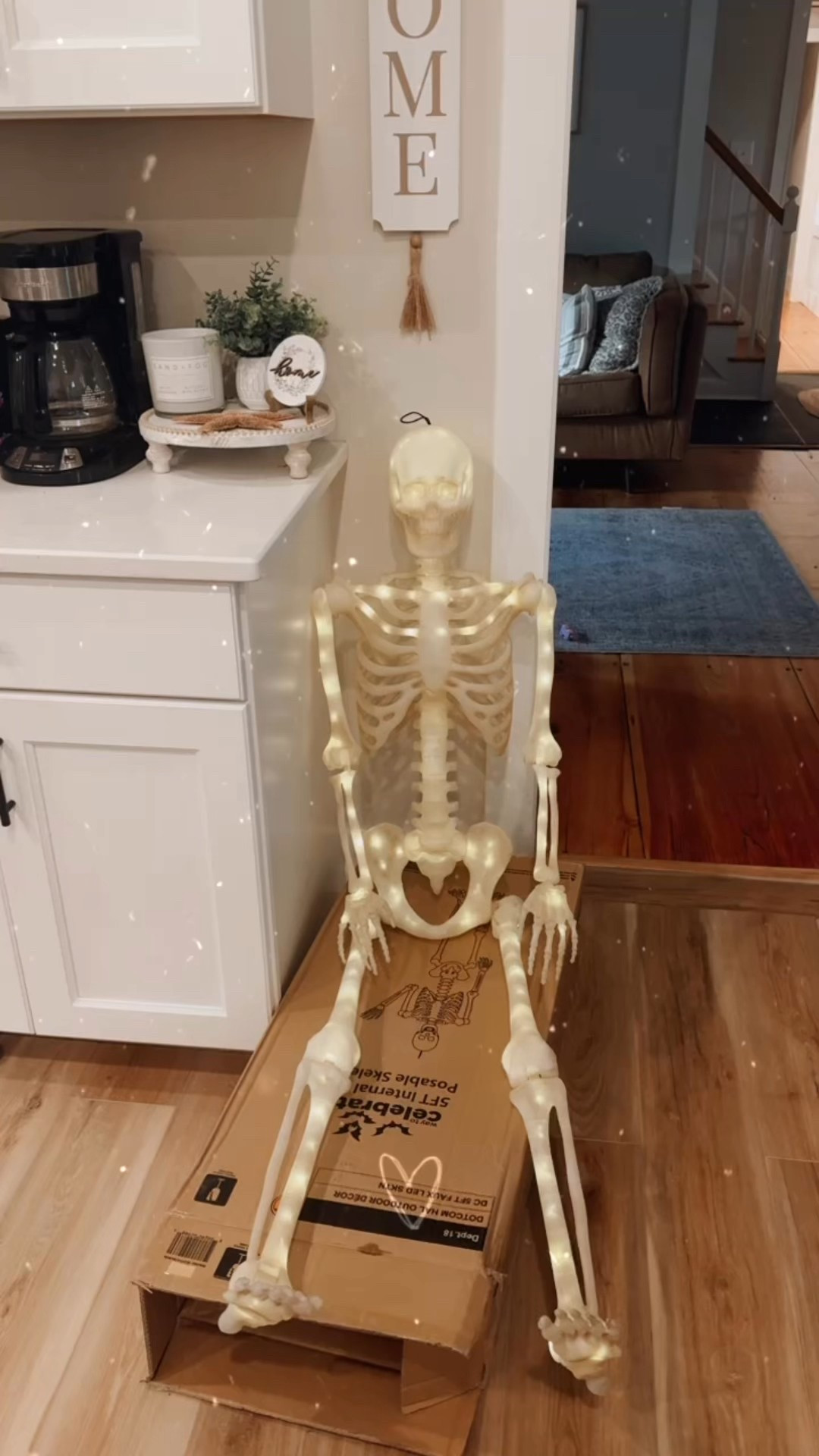 I love him already 🧡💀 Only 39$ and has so many different light settings! 