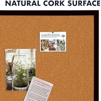 Quartet Cork Bulletin Board, Framed Corkboard, 2' x 3', Black Frame, Message Board, Vision Board ... | Amazon (US)