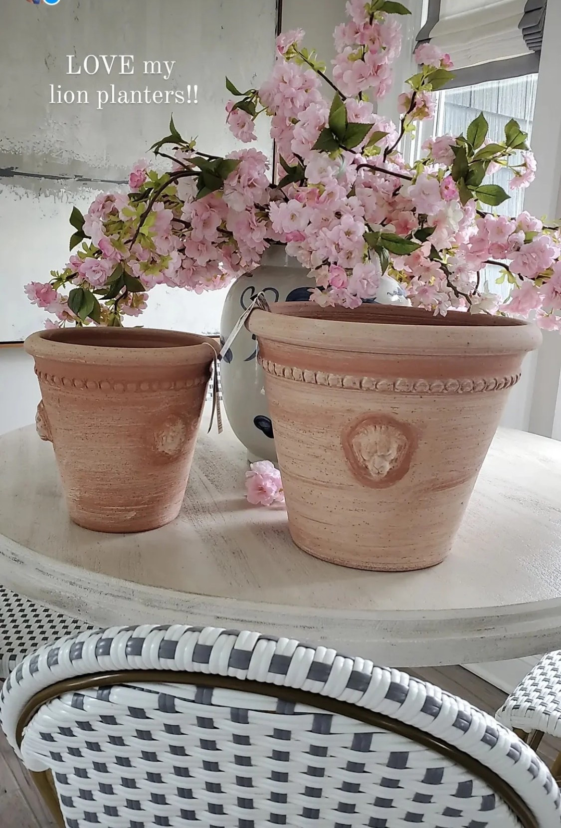 Use code: Cristina and save 15% off Alice Lane. I linked almost identical, lion planters to mine below since mine are not available anymore.

#LTKHome #LTKSaleAlert