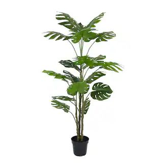 6ft. Potted Green Monstera Tree by Ashland® | Michaels | Michaels Stores