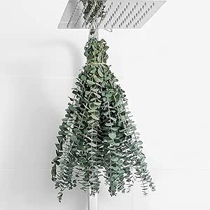 10 Pcs Dried Eucalyptus Stems 17" Real Eucalyptus 100% Made from Fresh Eucalyptus Leaves Artifici... | Amazon (US)