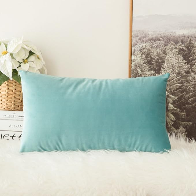 MIULEE Velvet Soft Soild Decorative Square Throw Pillow Cover Cushion Case for Sofa Bedroom Car 1... | Amazon (US)