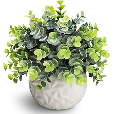 Artificial Plants Greenery Eucalyptus Plants in White Pot Realistic and Lifelike for Bathroom Decor, | Amazon (US)