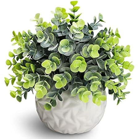 Artificial Plants Greenery Eucalyptus Plants in White Pot Realistic and Lifelike for Bathroom Decor, | Amazon (US)