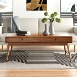 Mercury Row® Andersen Coffee Table with Storage | Wayfair Professional