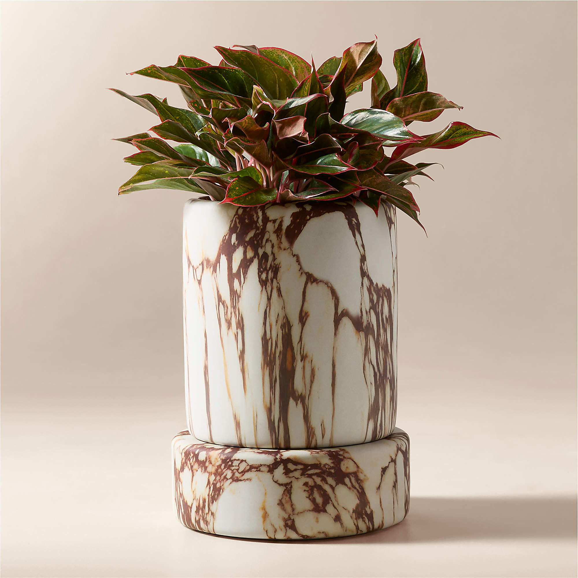 Situ Faux Red Calacatta Marble Planter Tall + Reviews | CB2 | CB2