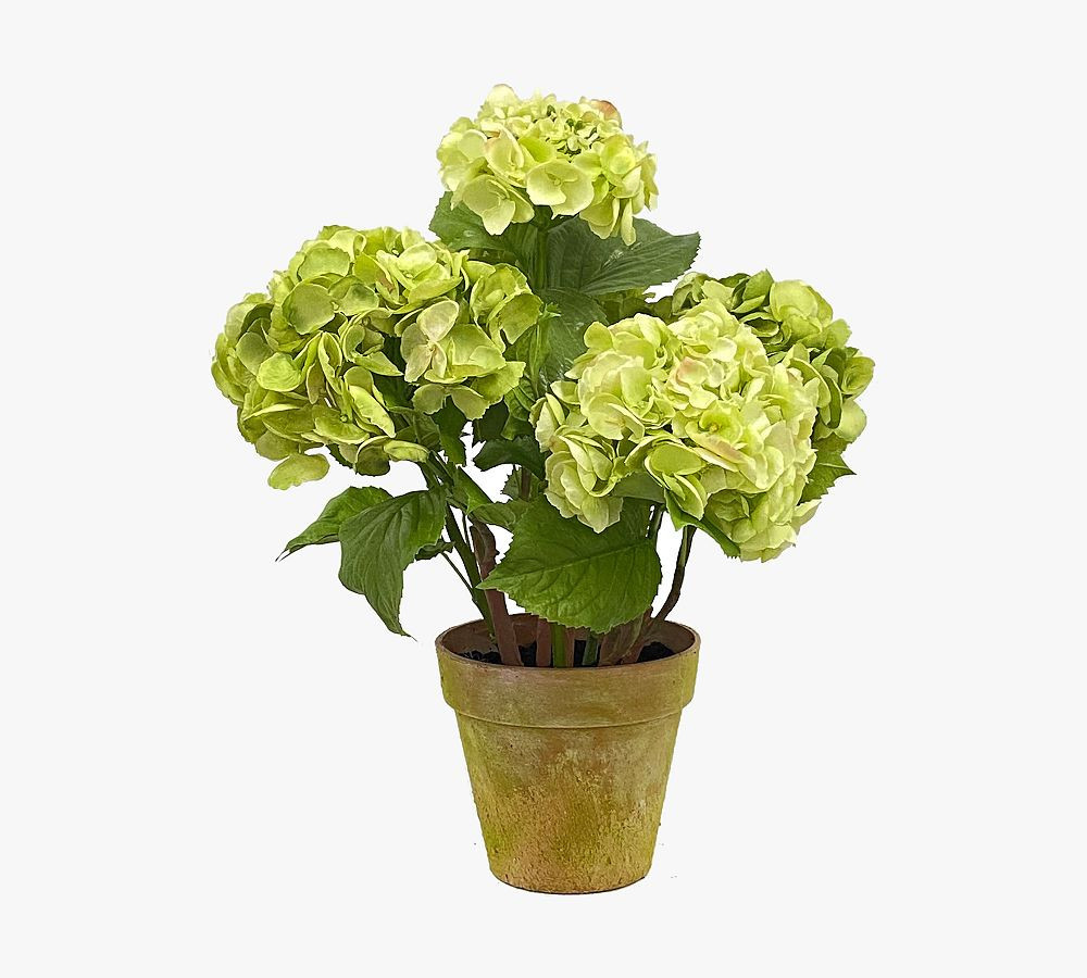 Faux Potted Hydrangea, Light Green | Pottery Barn (US)