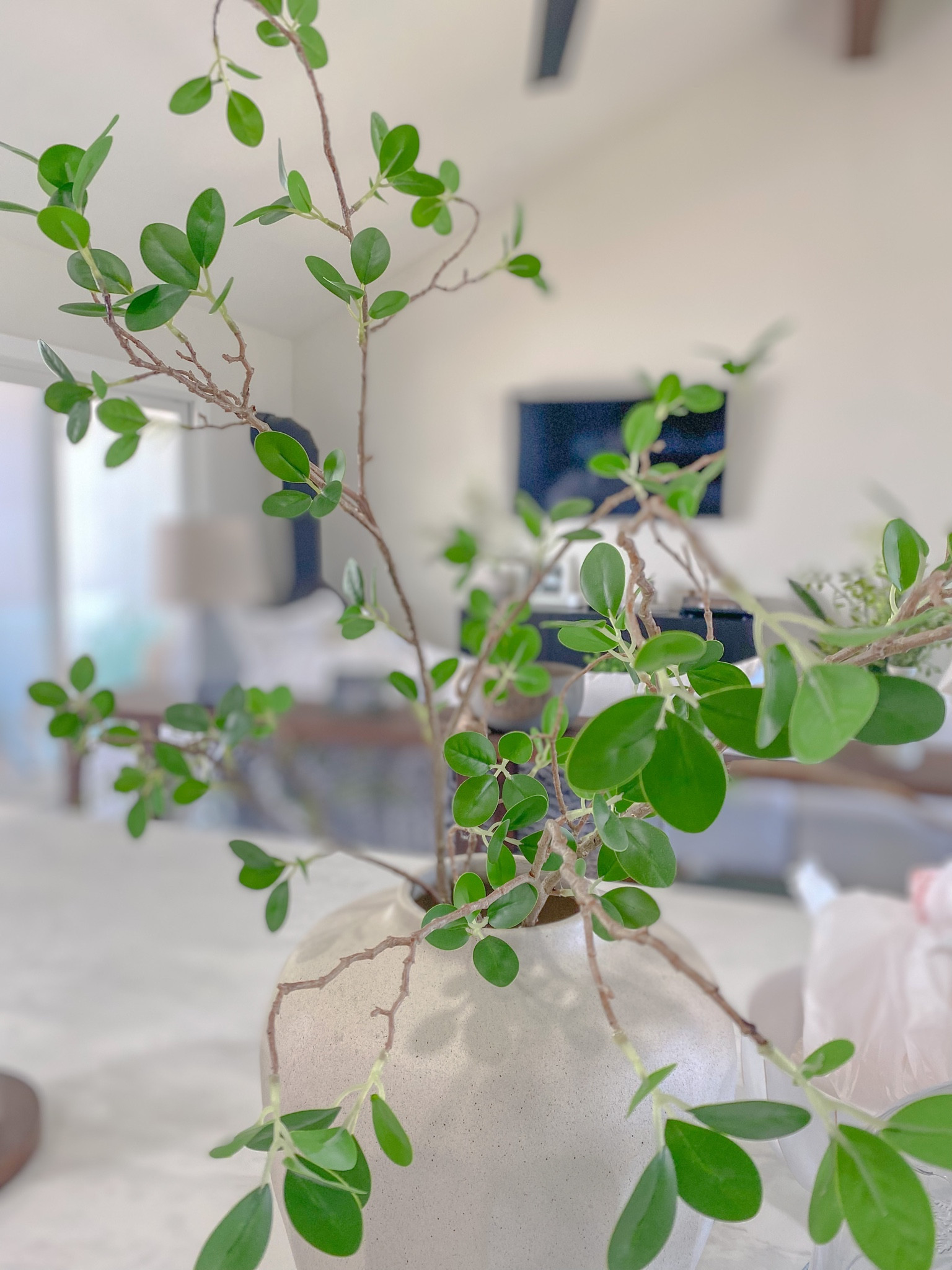 Artificial stems under $50

#LTKhome #LTKunder50 #LTKunder100