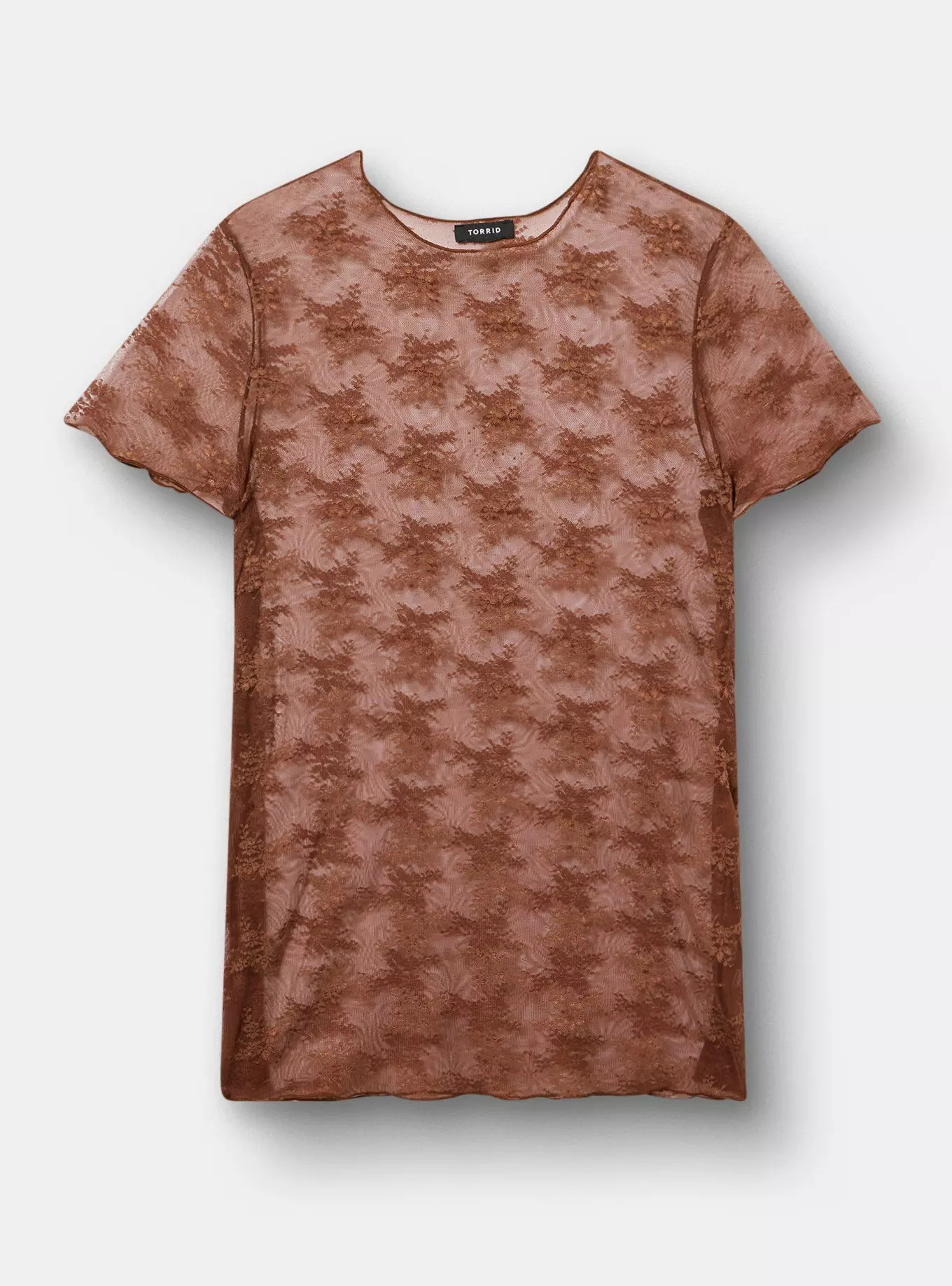 Sheer Lace Short Sleeve Top | Torrid (US & Canada)