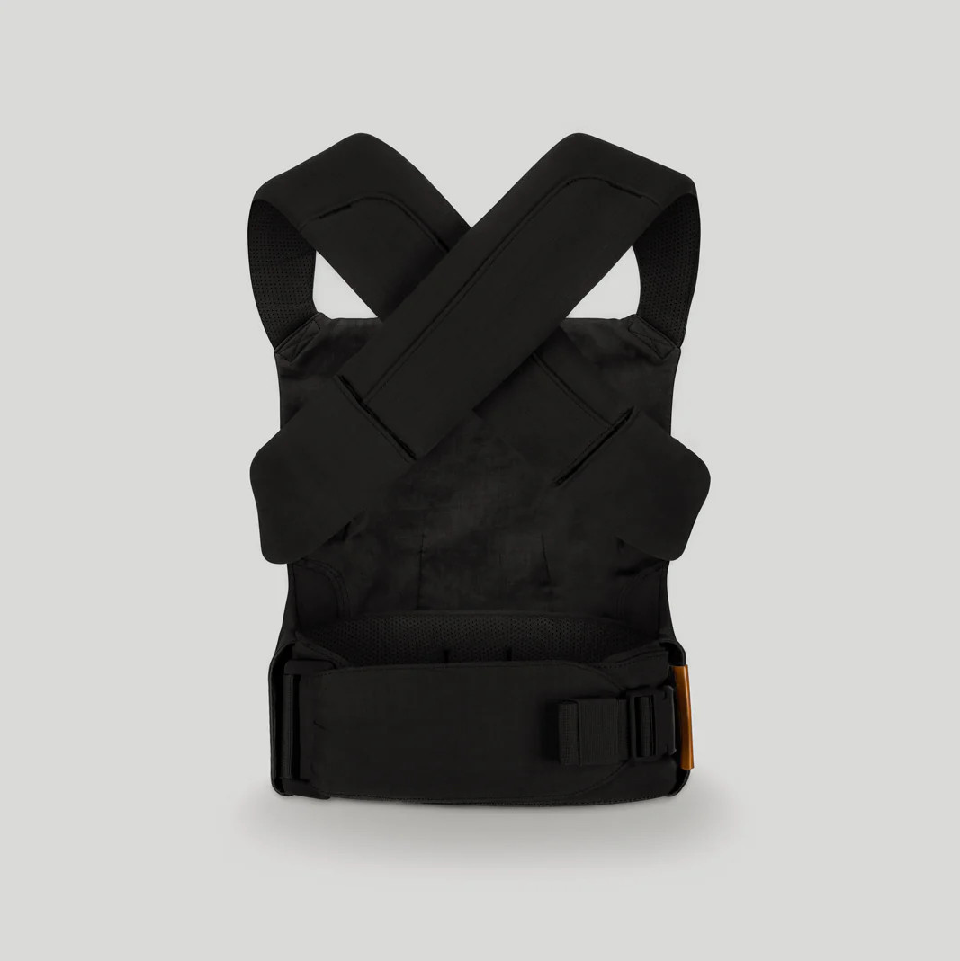 Raven - Aerial Carrier | Wildbird