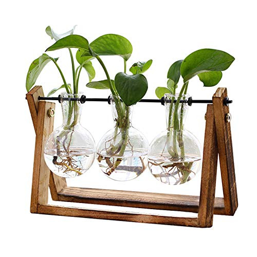 XXXFLOWER Plant Terrarium with Wooden Stand, Air Planter Bulb Glass Vase Metal Swivel Holder Retr... | Amazon (US)