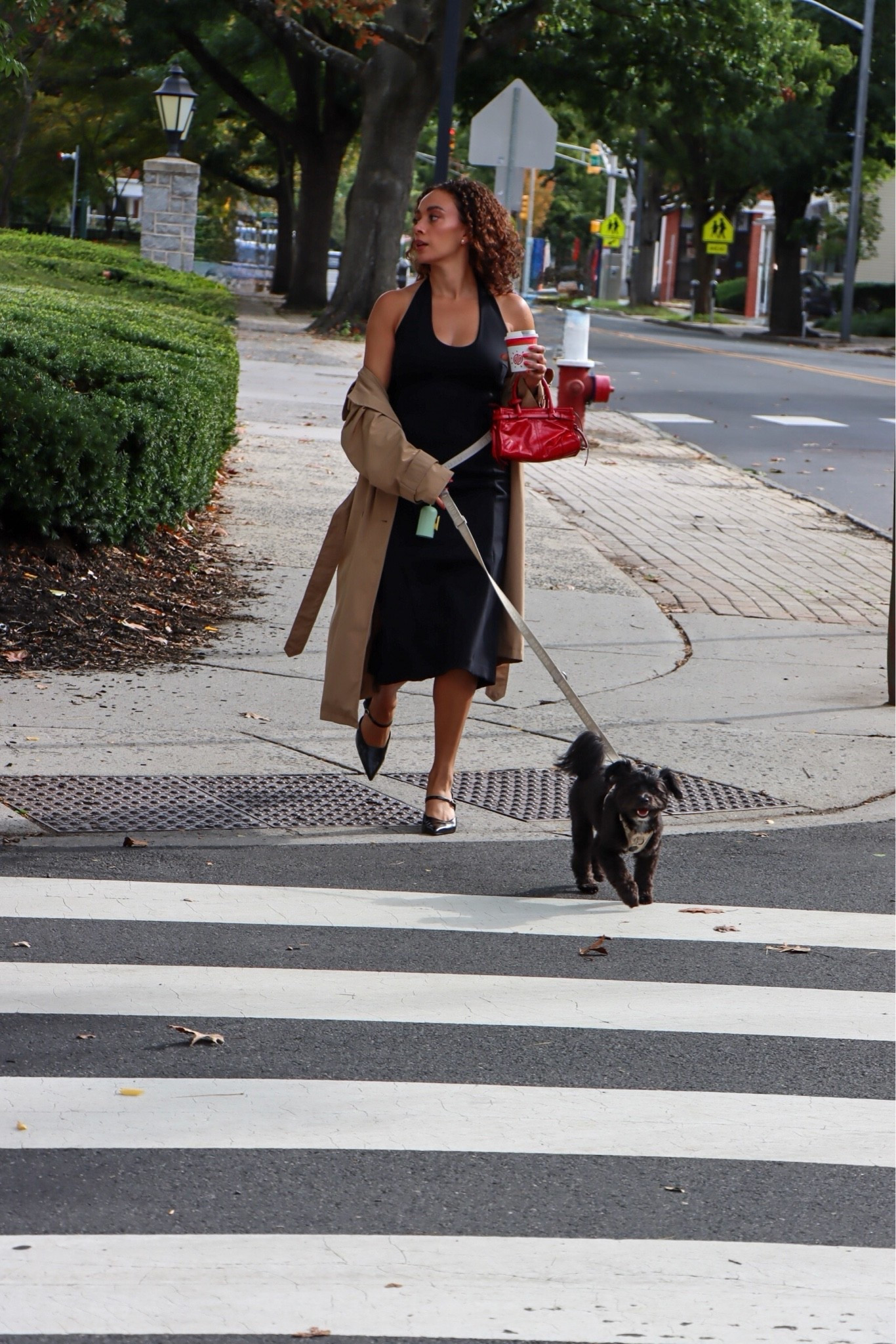 Hands free leash for the dog moms!

#LTKootd #LTKdayinmylife