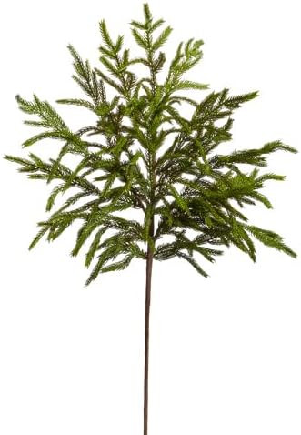 33" Norfolk Pine Spray | Amazon (US)