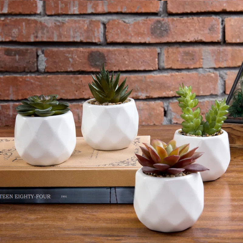 Closeout | Wayfair North America