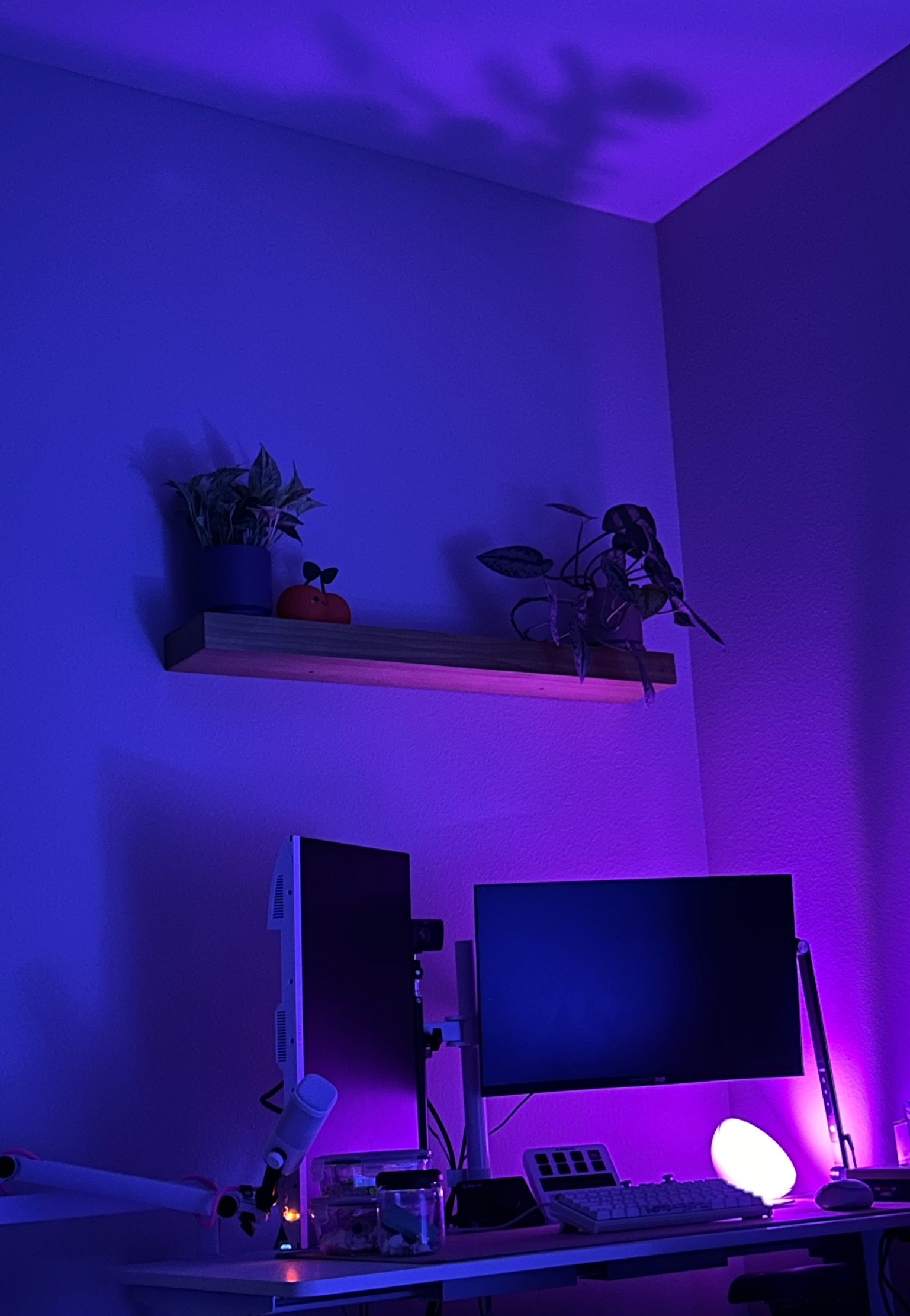 linking a few things in my streaming/pc setup! 

#LTKBacktoSchool #LTKHome #LTKFamily