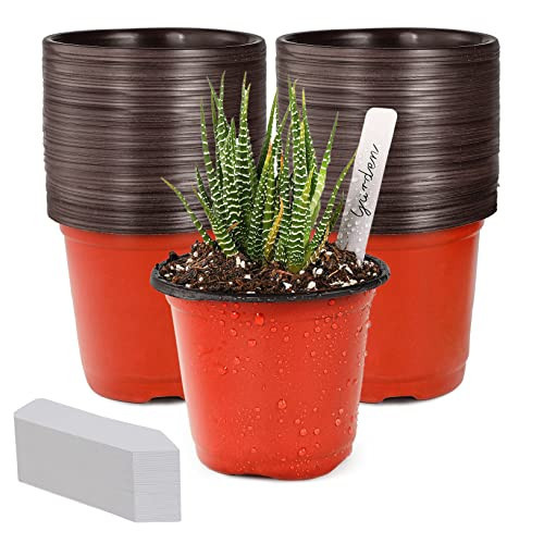 TDHDIKE 4" Small Plastic Plant Nursery Pot/Pots (100pcs) Seedlings Flower Plant Container Seed Starting Pots , Come with 100pcs Plant Labels | Amazon (US)