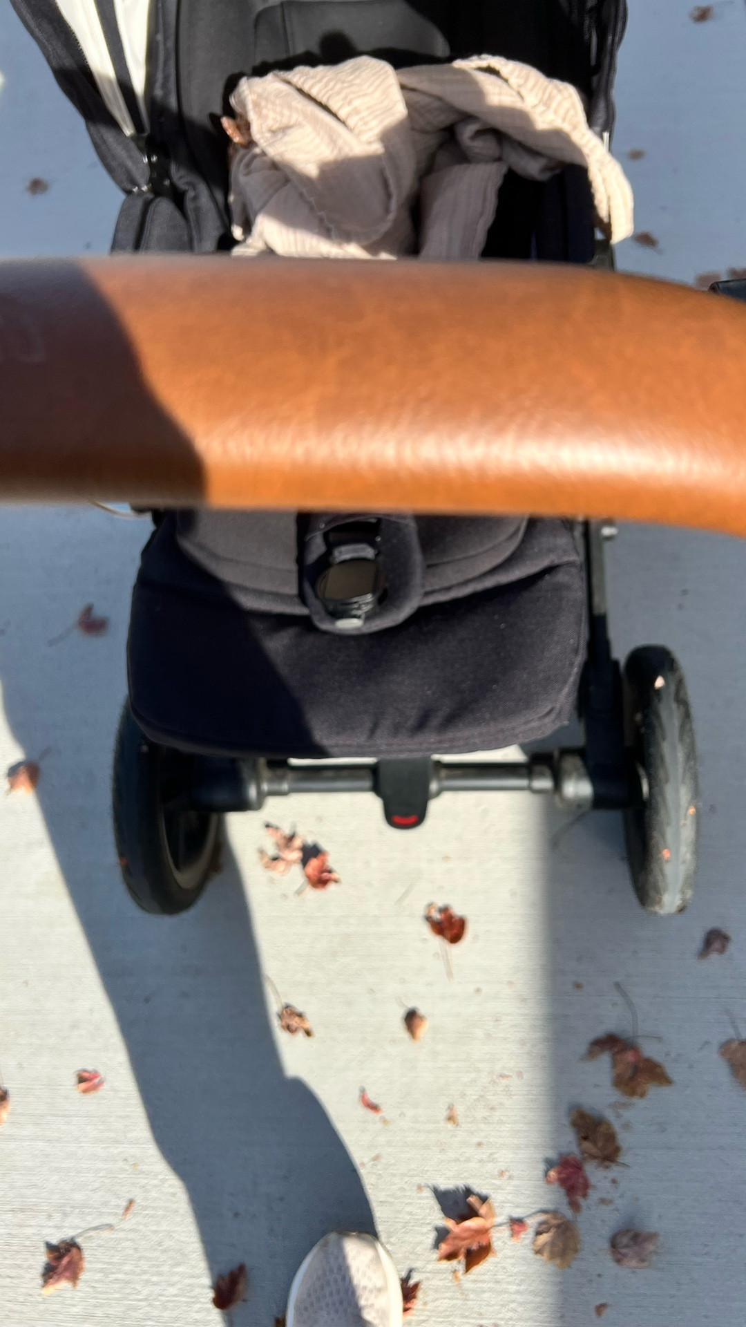 We’re getting those steps in! 

I have to switch Chloe between her carrier and her stroller to get my 11k step walks in lately (she’s a mover!) but we’re getting them done! Our Nuna stroller is so easy to push I can push it with one hand while holding her in my other arm. 

I also got new Brooks! I switched to a new color but they’re still the Brooks ghosts. 🖤

#babystroller #baby #nuna #dailysteps 

#LTKfitnessgoals #LTKmomlife #LTKdayinmylife