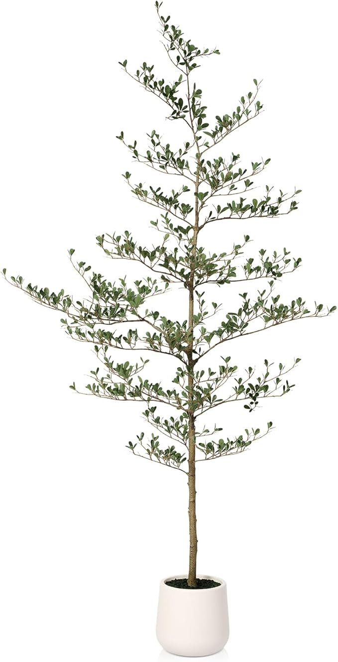 Artificial Black Olive Tree 7FT - Faux Olive Trees with Modern White Planter & Moss for Indoor Ho... | Amazon (US)