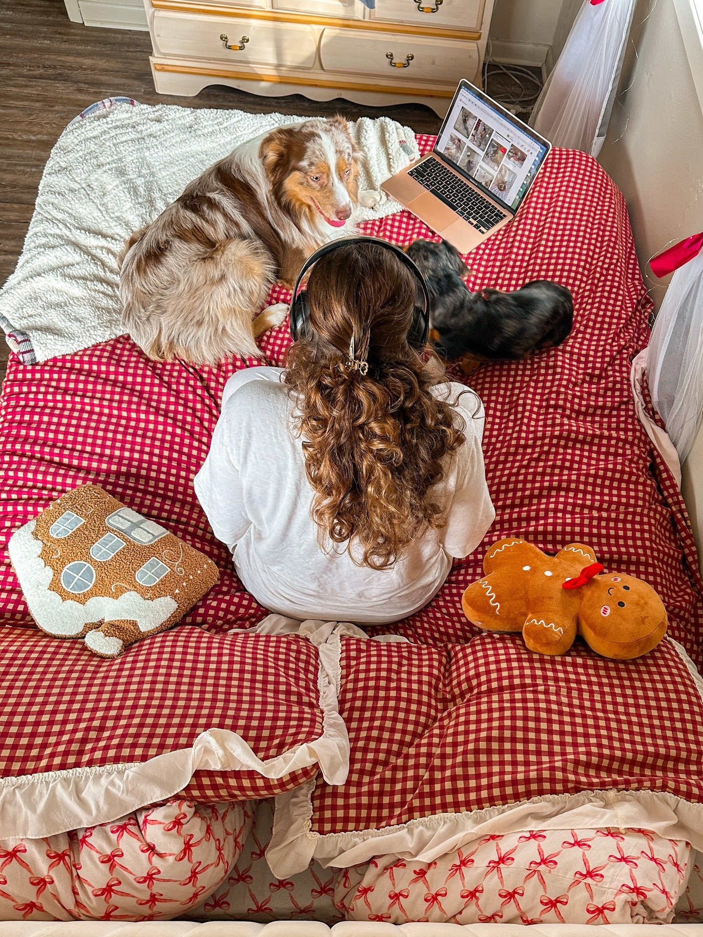 Slow November mornings with my puppies >>
•
#holidays #puppy #christmas #cozyseason #pinterestaesthetic #pinterestinspo #bedroom #explorepage