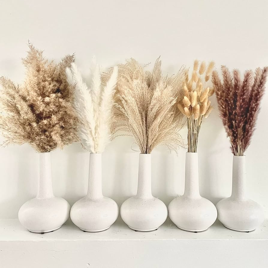 OAKOA 125 PCS Dried Pampas Grass Bouquet - Boho Flowers - Boho Pampas Grass Decor - Bunny Tails S... | Amazon (US)