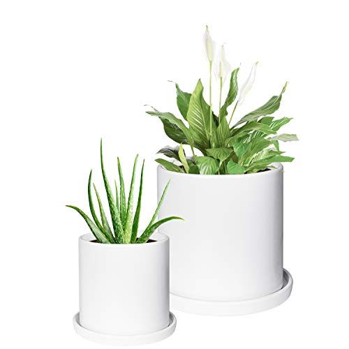 TIMEYARD Plant Pots Indoor, Modern Planters with Drainage Hole and Tray | Amazon (US)