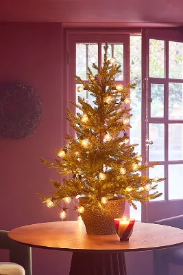 Faux Twinkling Pre-Lit LED Potted Norway Spruce, 4’ | Terrain