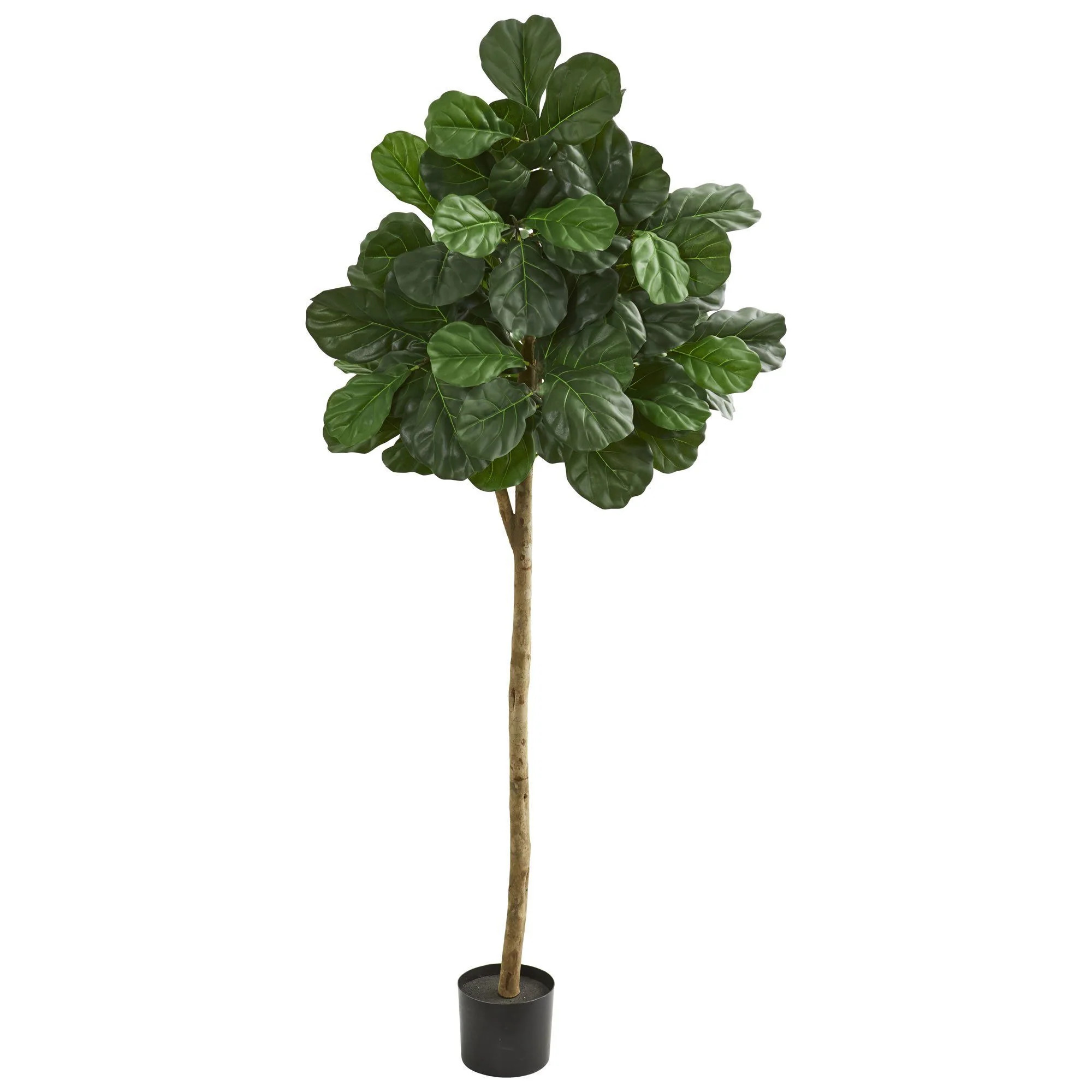 6’ Tall Fiddle Leaf Fig Artificial Tree | Nearly Natural | Nearly Natural