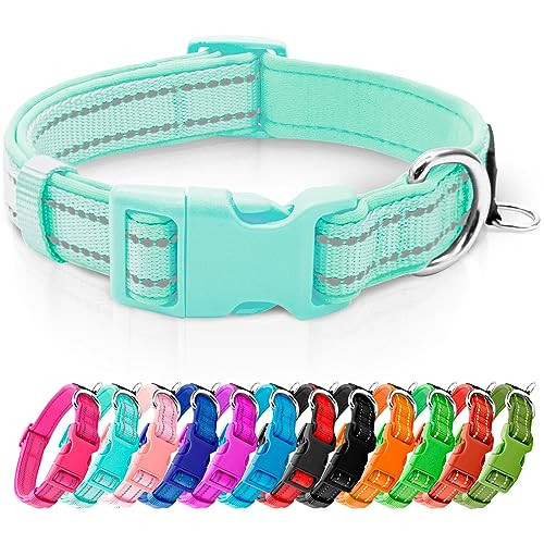 azuza Reflective Dog Collar,Soft Neoprene Padded Pet Collar with ID Tag Ring,Adjustable for Large Dogs,Teal,L | Amazon (US)
