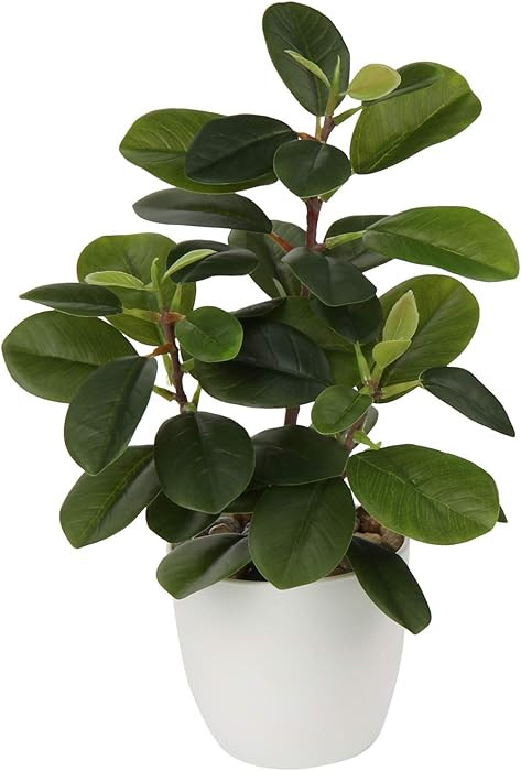 Briful Artificial Plants Mini Camellia Potted Fake Plants Small Faux Plastic Plants Desk Plant Ar... | Amazon (US)
