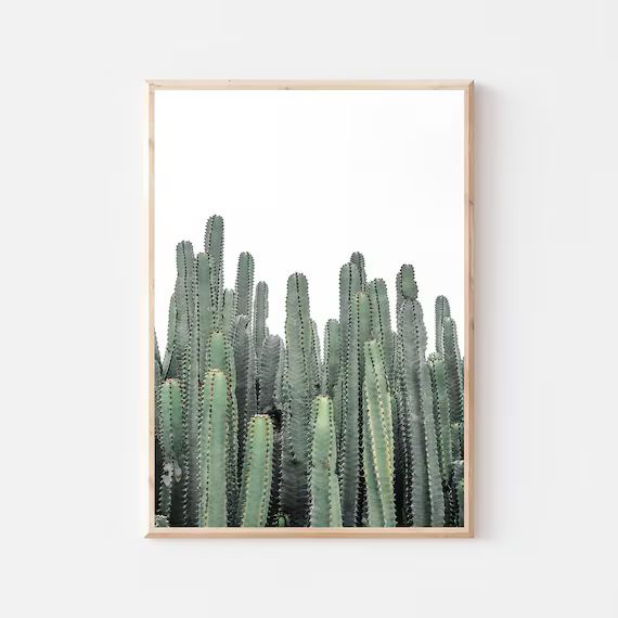 Cactus Print Cacti Printable Art Modern Minimalist Poster | Etsy | Etsy (US)