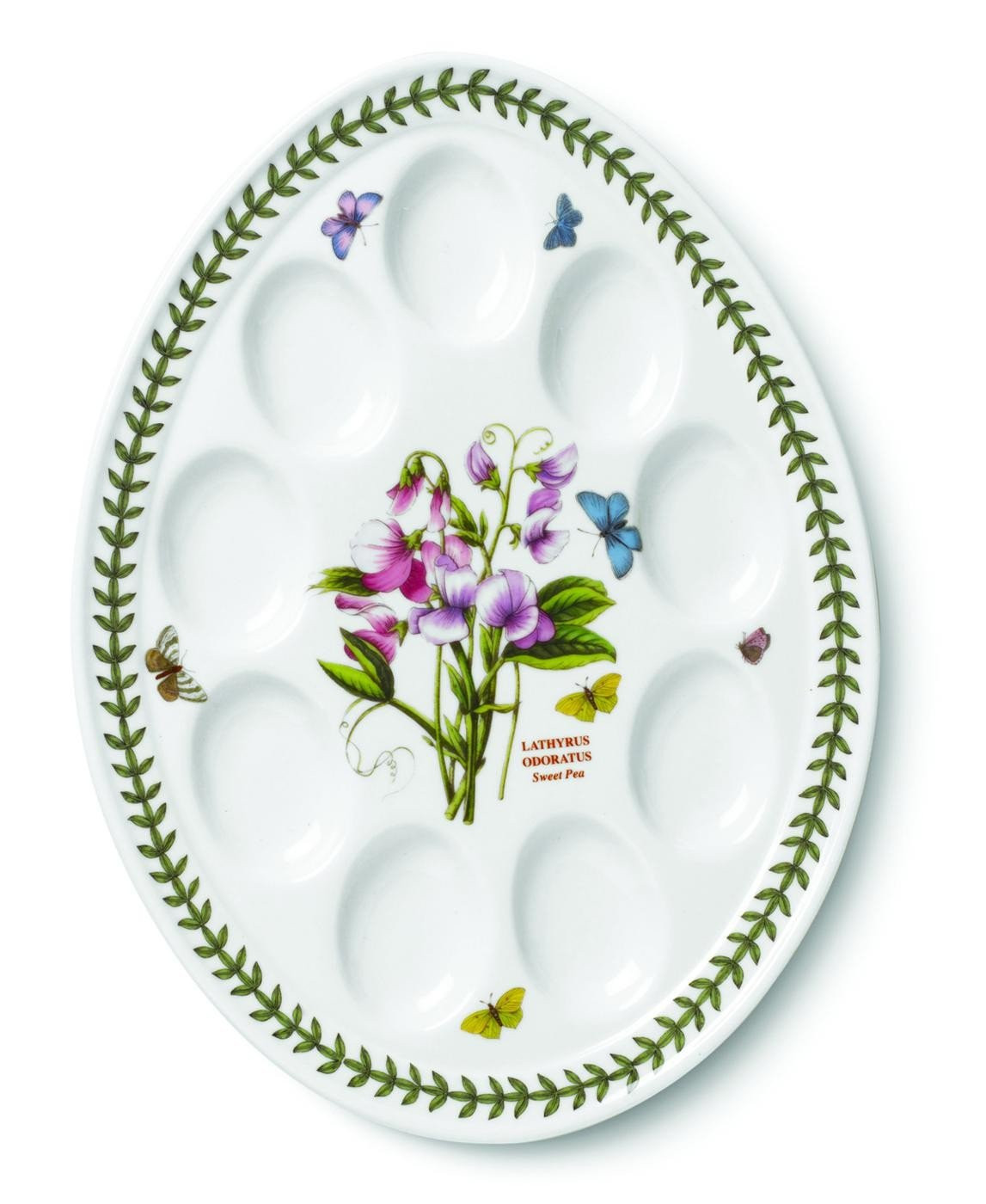 Portmeirion Botanic Garden Ceramic Devilled Egg Dish 12-Inch - White with Floral Design - Laurel ... | Amazon (US)