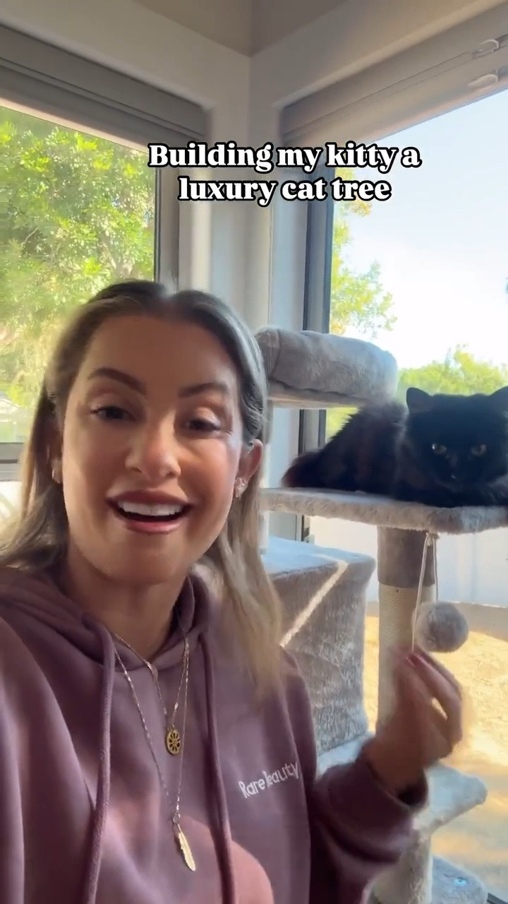 Love this Cat tree! 🐈 

 #LTKCyberWeek #LTKHoliday #LTKWatchNow
