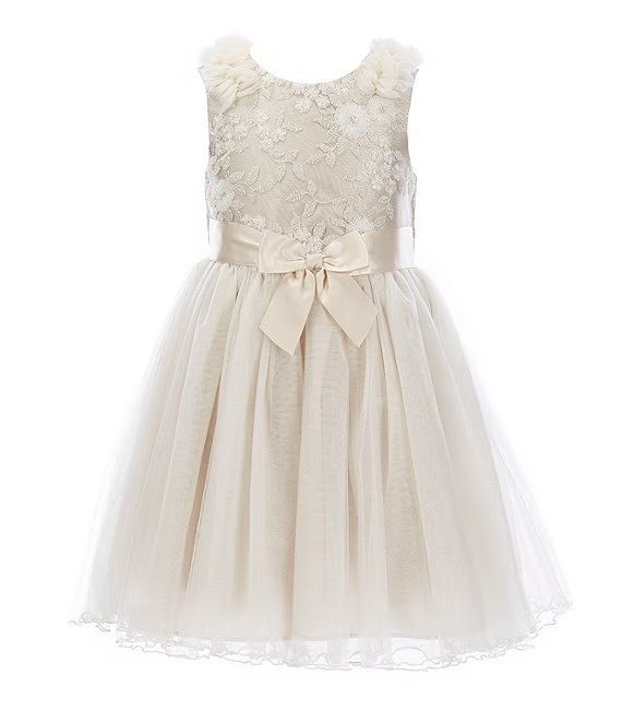 Little Girls 4-6X Embroidered/Mesh Ballerina Dress | Dillard's