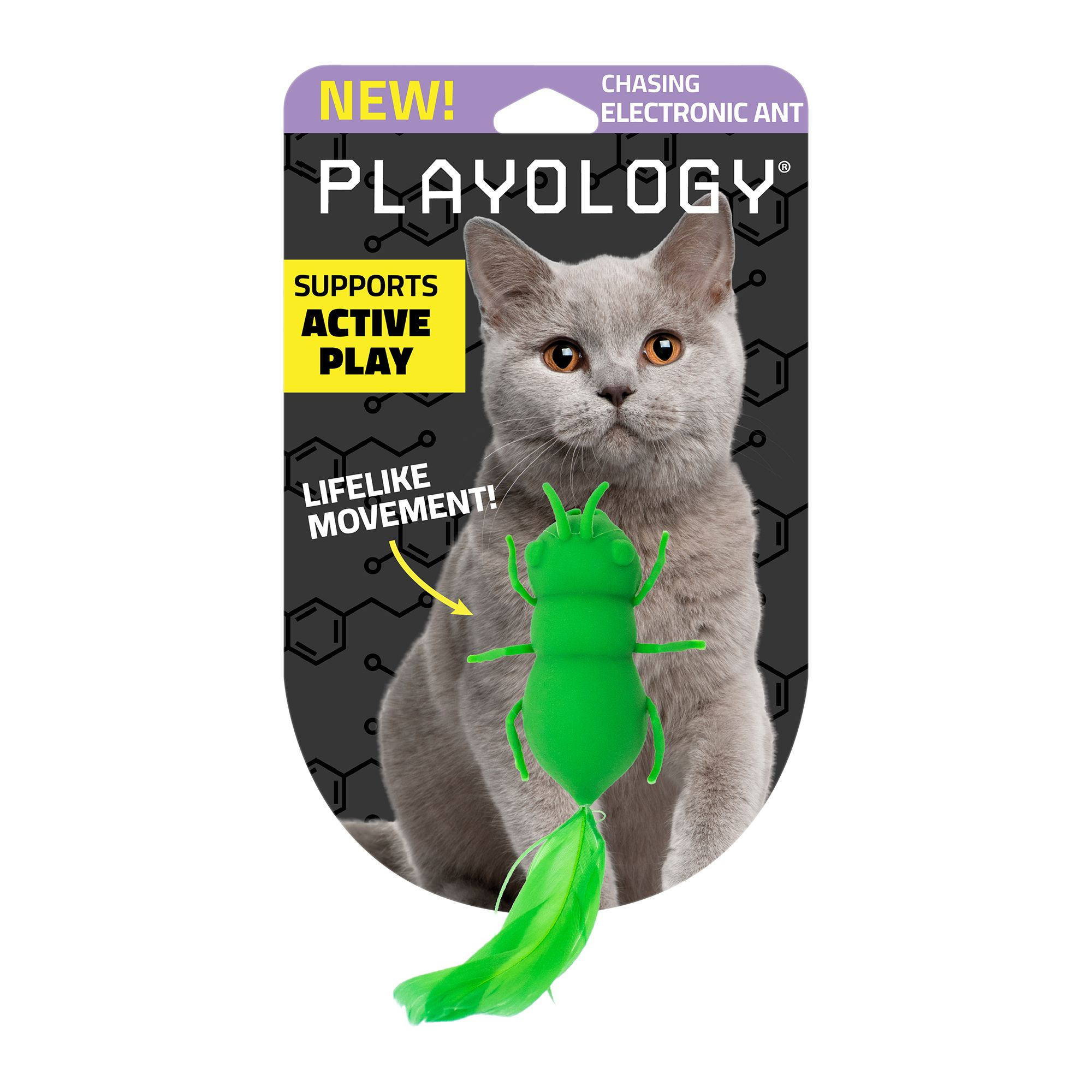 Playology® Electronic Ant Cat Toy | PetSmart