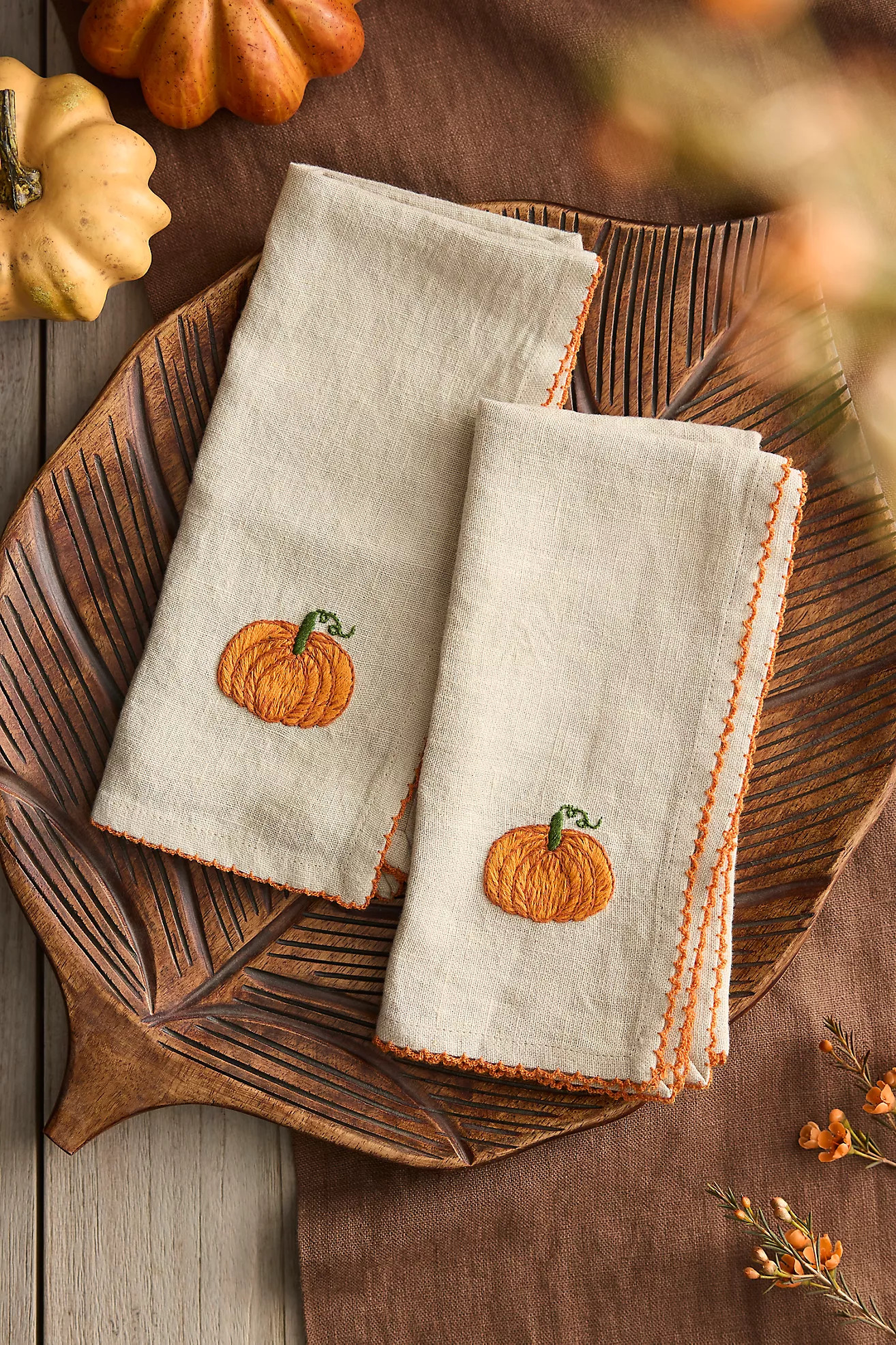 Autumn Icon Embroidered Napkins, Set of 2 | Anthropologie (US)