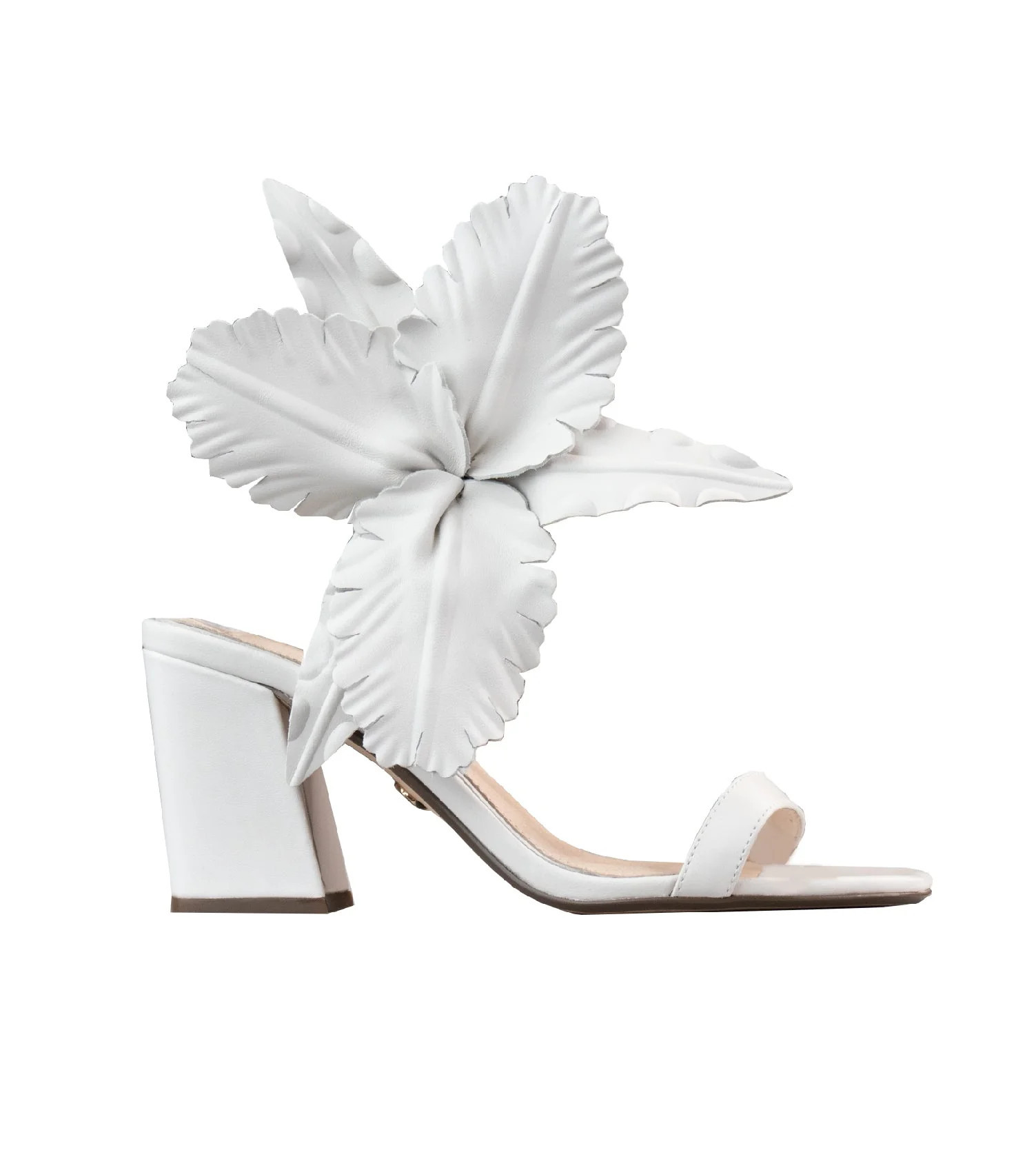 HIBISCUS | Cecelia New York