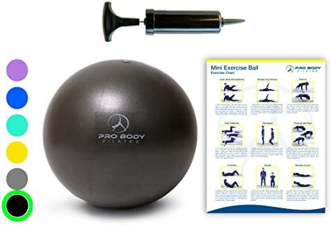 Mini Exercise Ball with Pump - 9 Inch Small Bender Ball for Stability, Barre, Pilates, Yoga, Core... | Amazon (US)