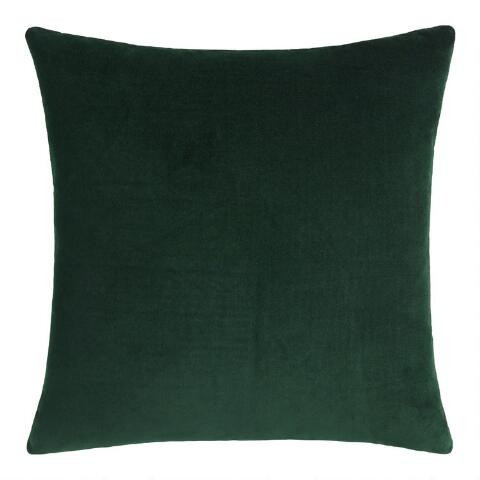 Velvet Throw Pillow | World Market