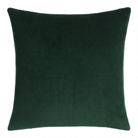 Velvet Throw Pillow | World Market